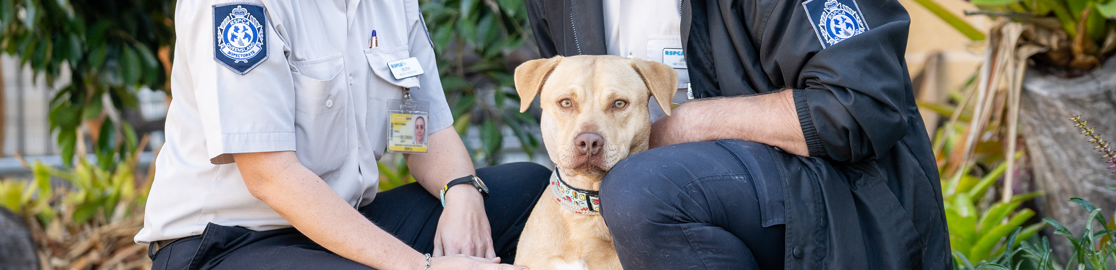 dog with rspca inspectors